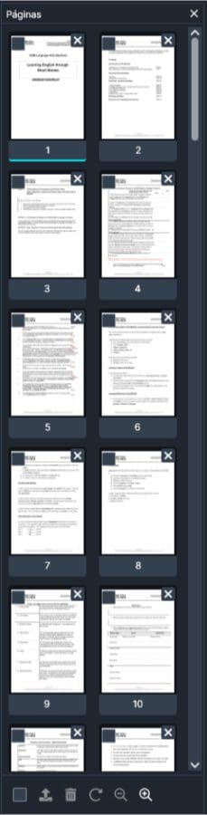 paginas pdf split | CaseGuard Pages Panel in Spanish